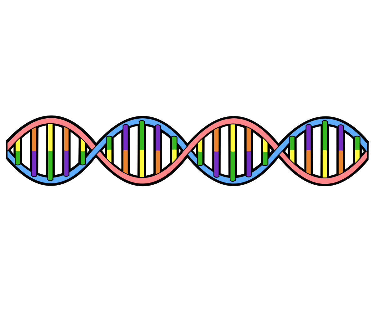 遺伝子が認知症の発症に与える影響とは